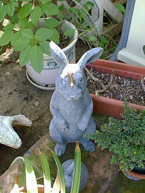 Gecko on rabbit statue