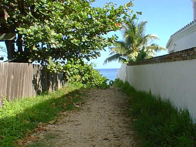 A pathway to the beach