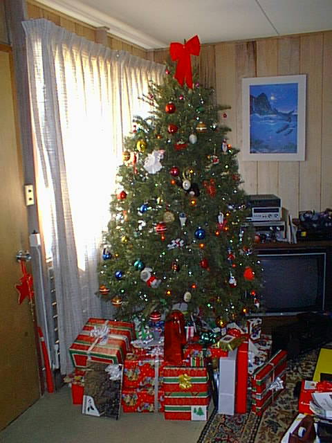 Tree on Christmas morning