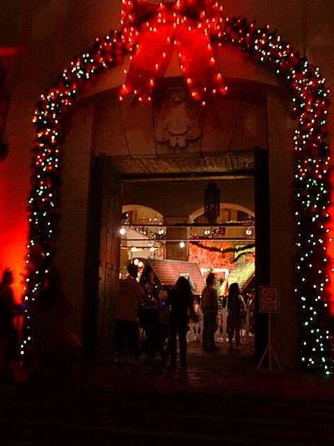 Entrance to hall of Christmas trees