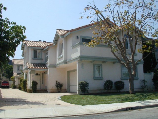 New lawn and trees trimmed