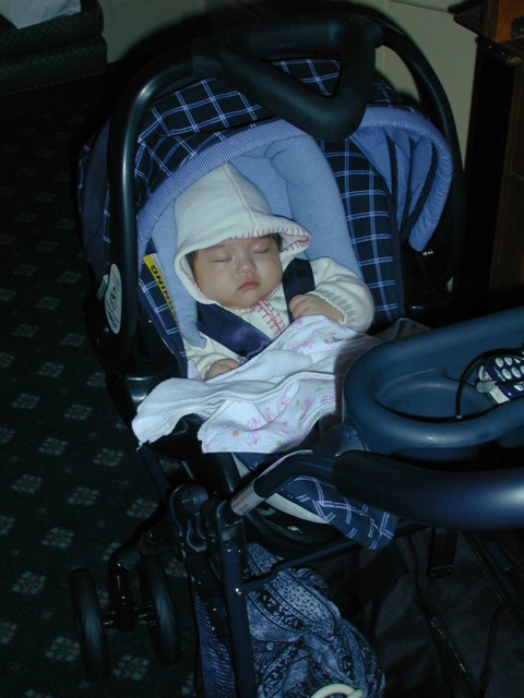 Asleep in stroller