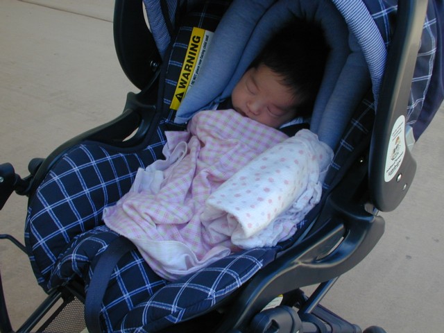 Asleep in stroller