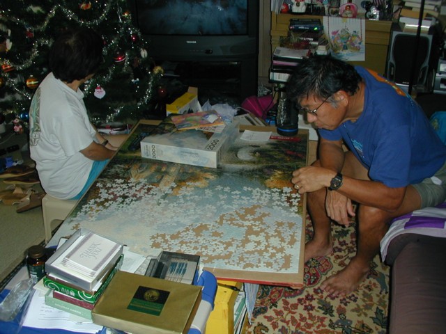 Working the puzzle