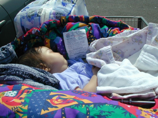 Asleep in Costco cart