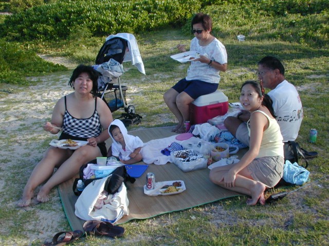 Picnic at the beach