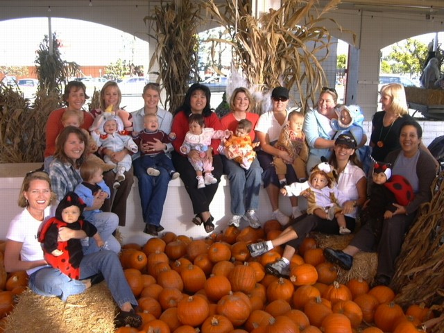 At pumpkin patch