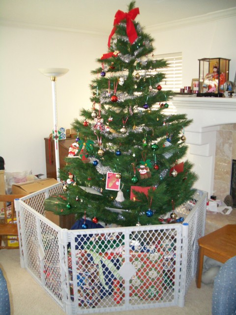 Our Christmas tree