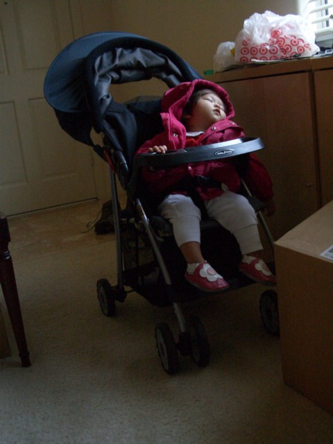 Asleep in stroller