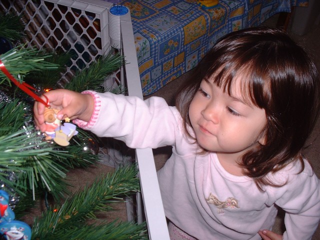 Investigating an ornament