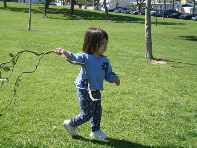 Playing with a branch